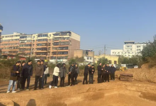 洛阳市考古研究院与市人社局联合开展主题党日活动(图3) image.png