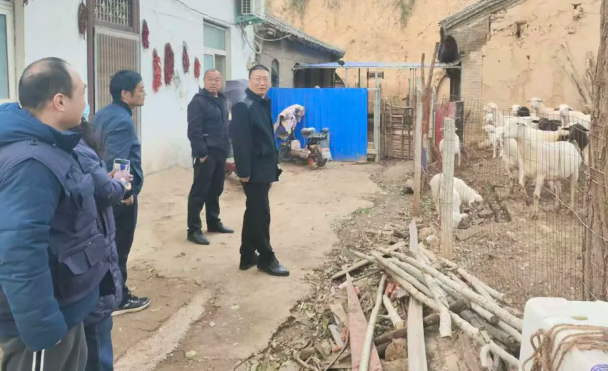 扎根乡土扶产业、养殖铺就致富路—洛阳市考古研究院帮扶王窑村脱贫户发展养殖业(图3) image.png